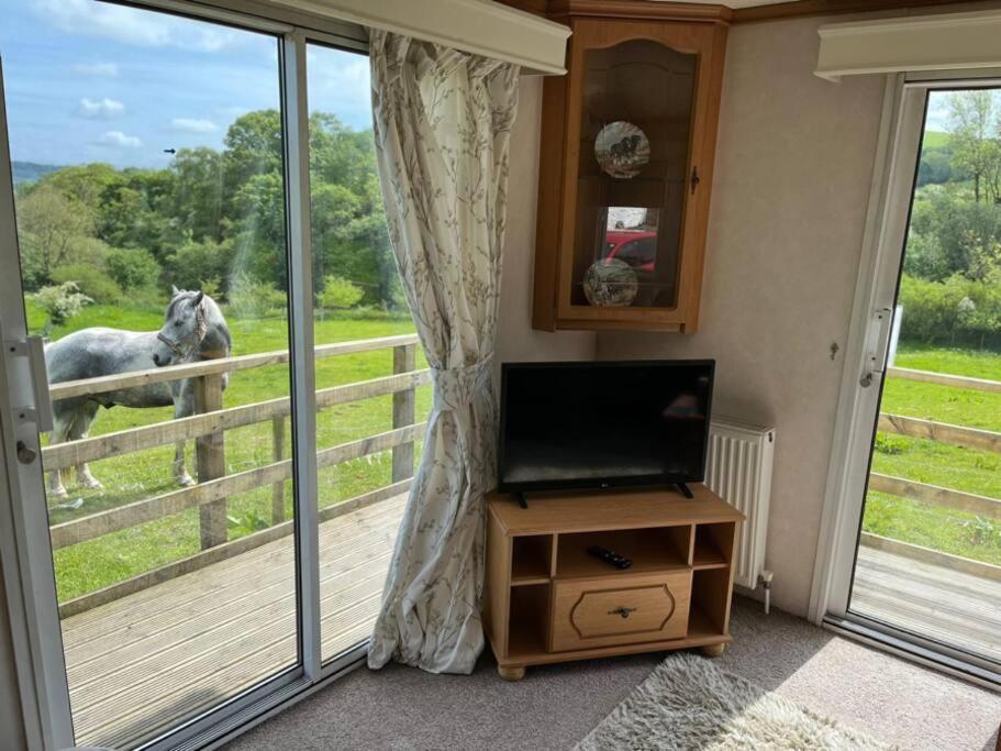 Farm Stay Caravan On Working Farm Dacre  Екстер'єр фото